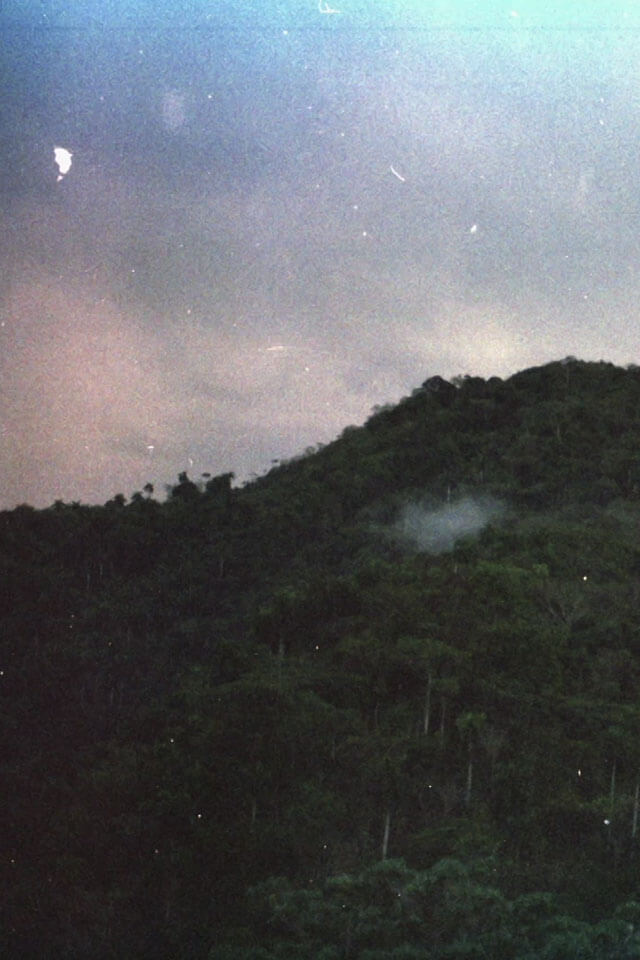 El Monte (The Woodland)