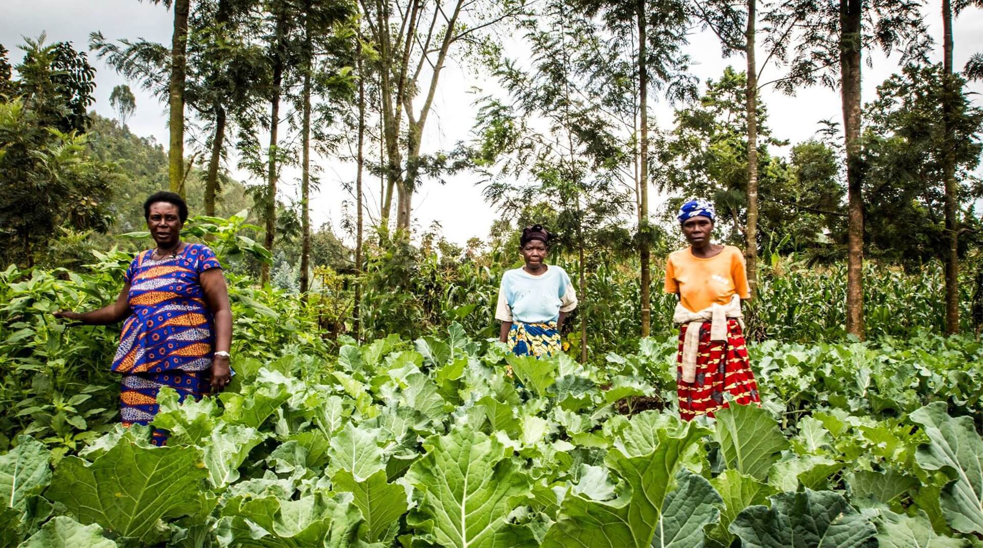 Ubumwe: Together We Grow