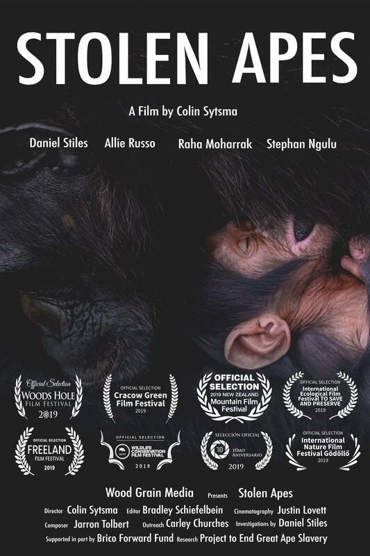 Stolen Apes