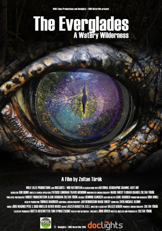 The Everglades: A Watery Wilderness