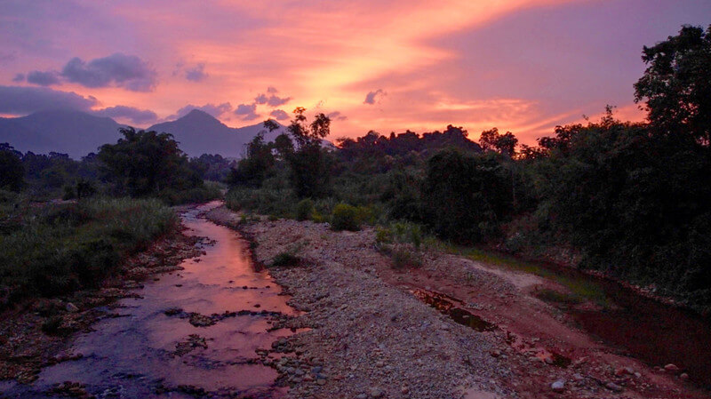 Borneo's Vanishing Tribes