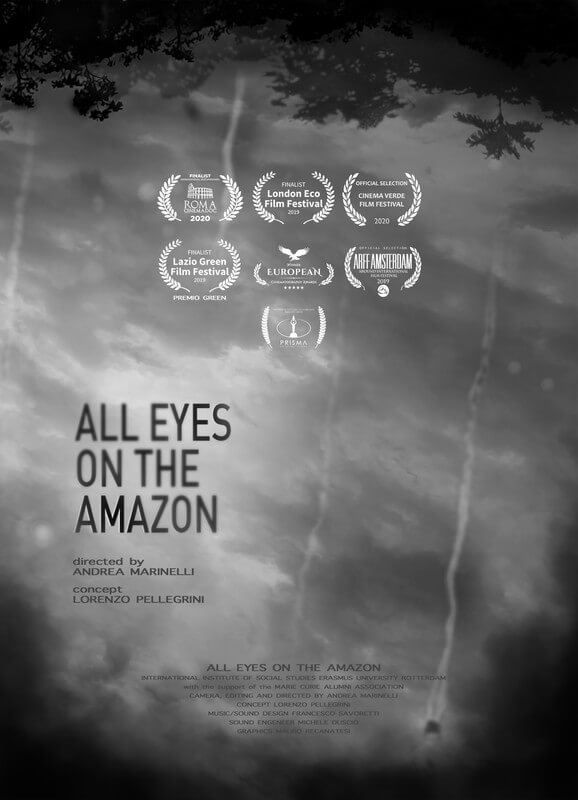 All Eyes on the Amazon