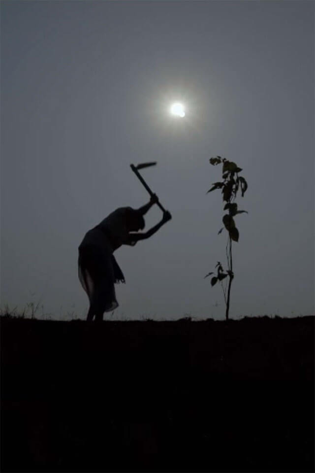 Kalpataru (The Tree)