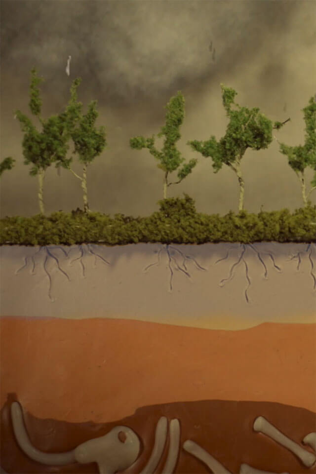 Drain Rangers: Stormwater Engineering Solutions