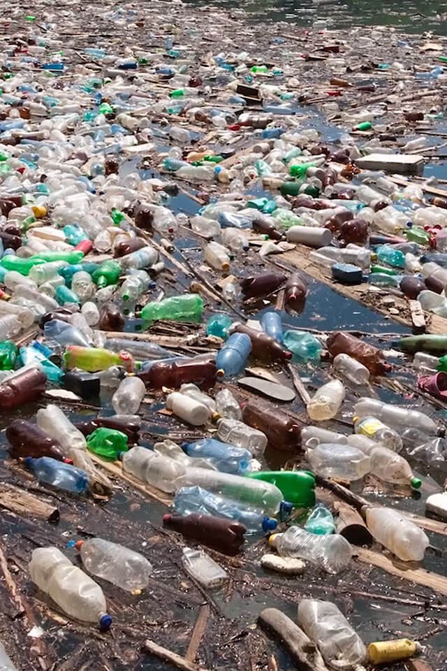This Mortal Plastik