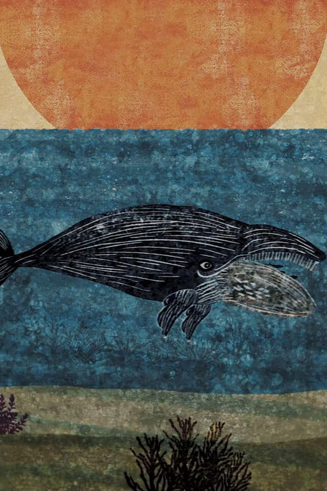 A Whale's Worth