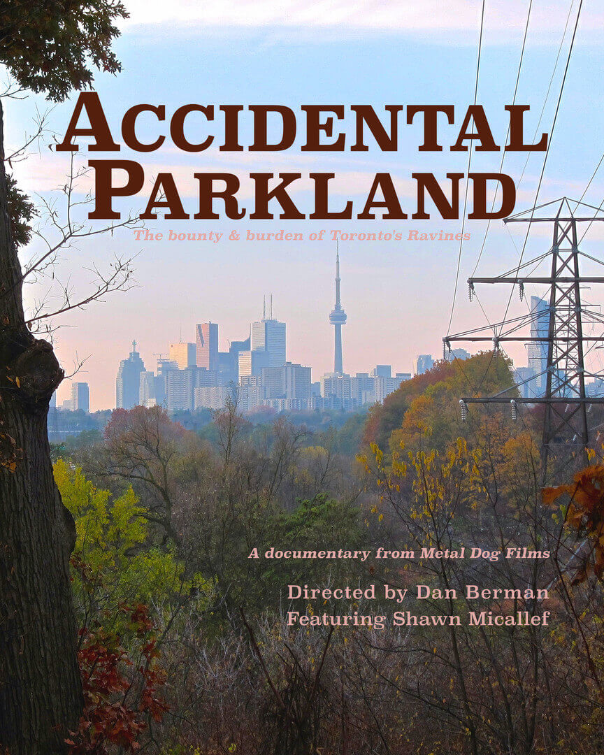 Accidental Parkland