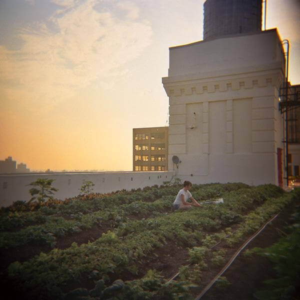 Up on the Farm