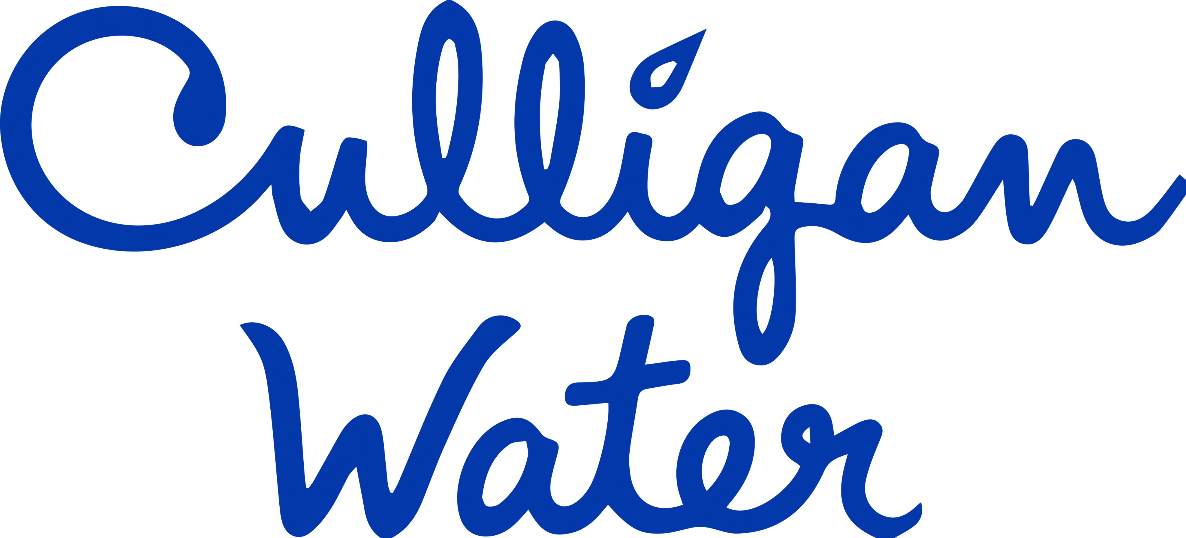 culligan logo