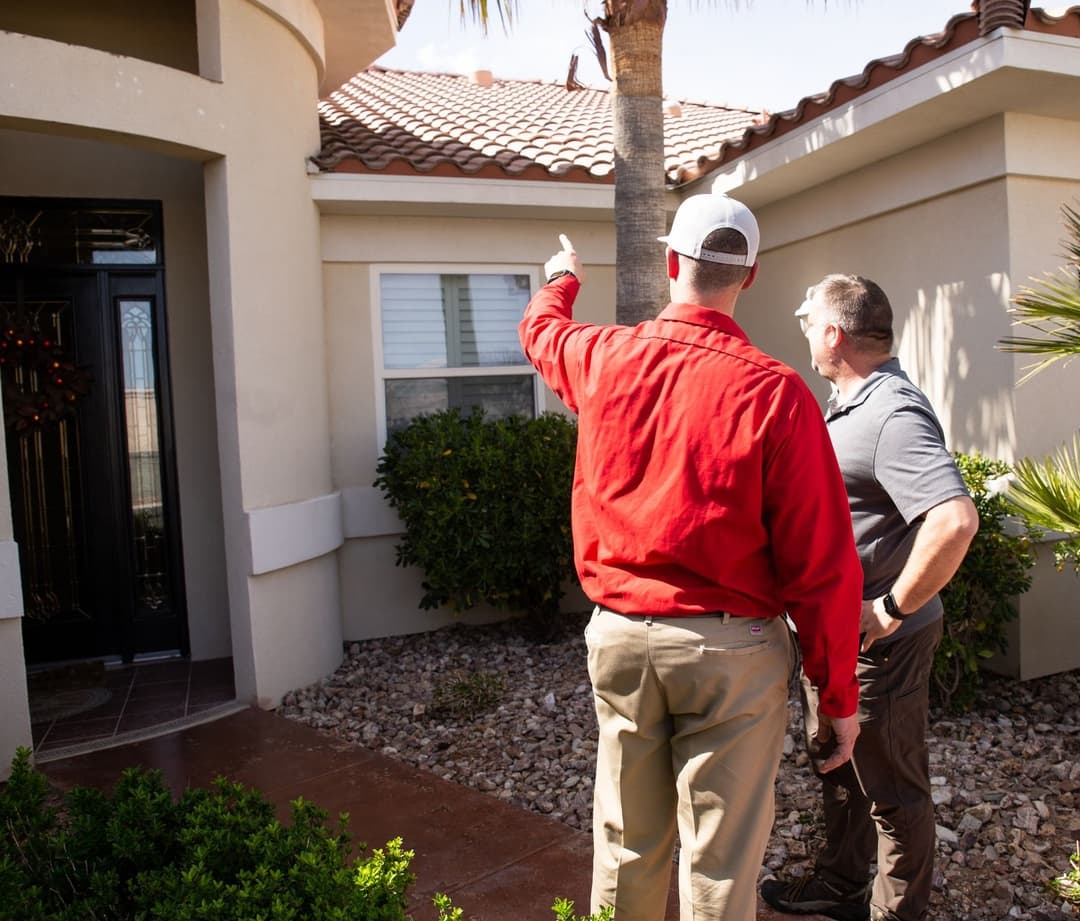 Bird Control Service Las Vegas, NV Pigeon Control Red Rock Pest Control