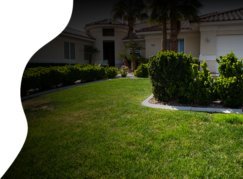 Home Pest Control Las Vegas, NV Residential Pest Control Services