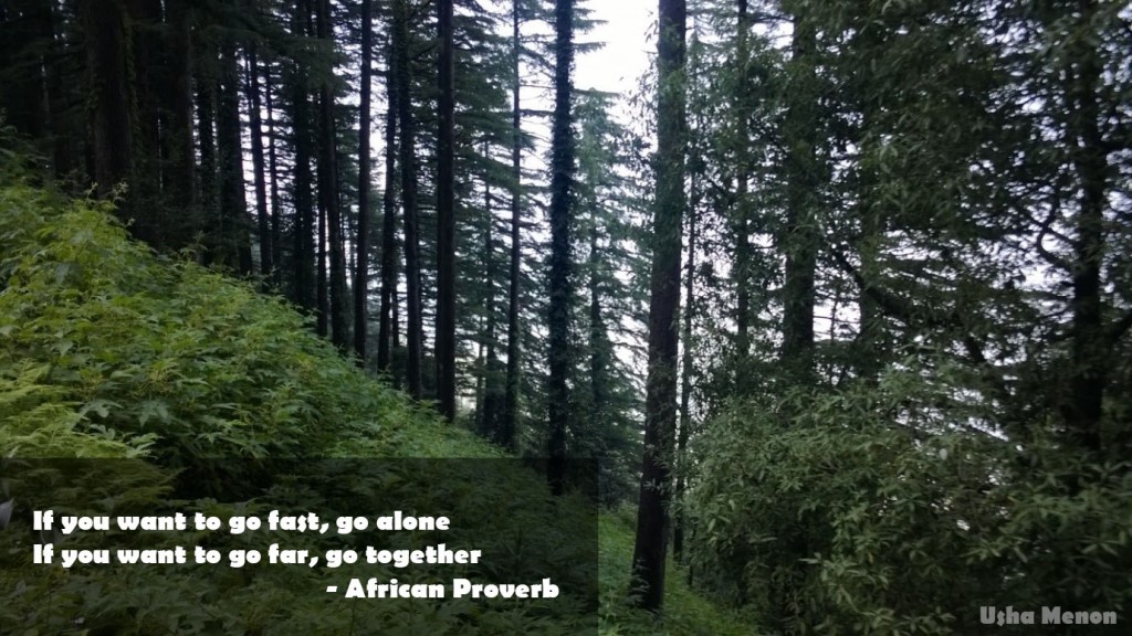 African Proverb