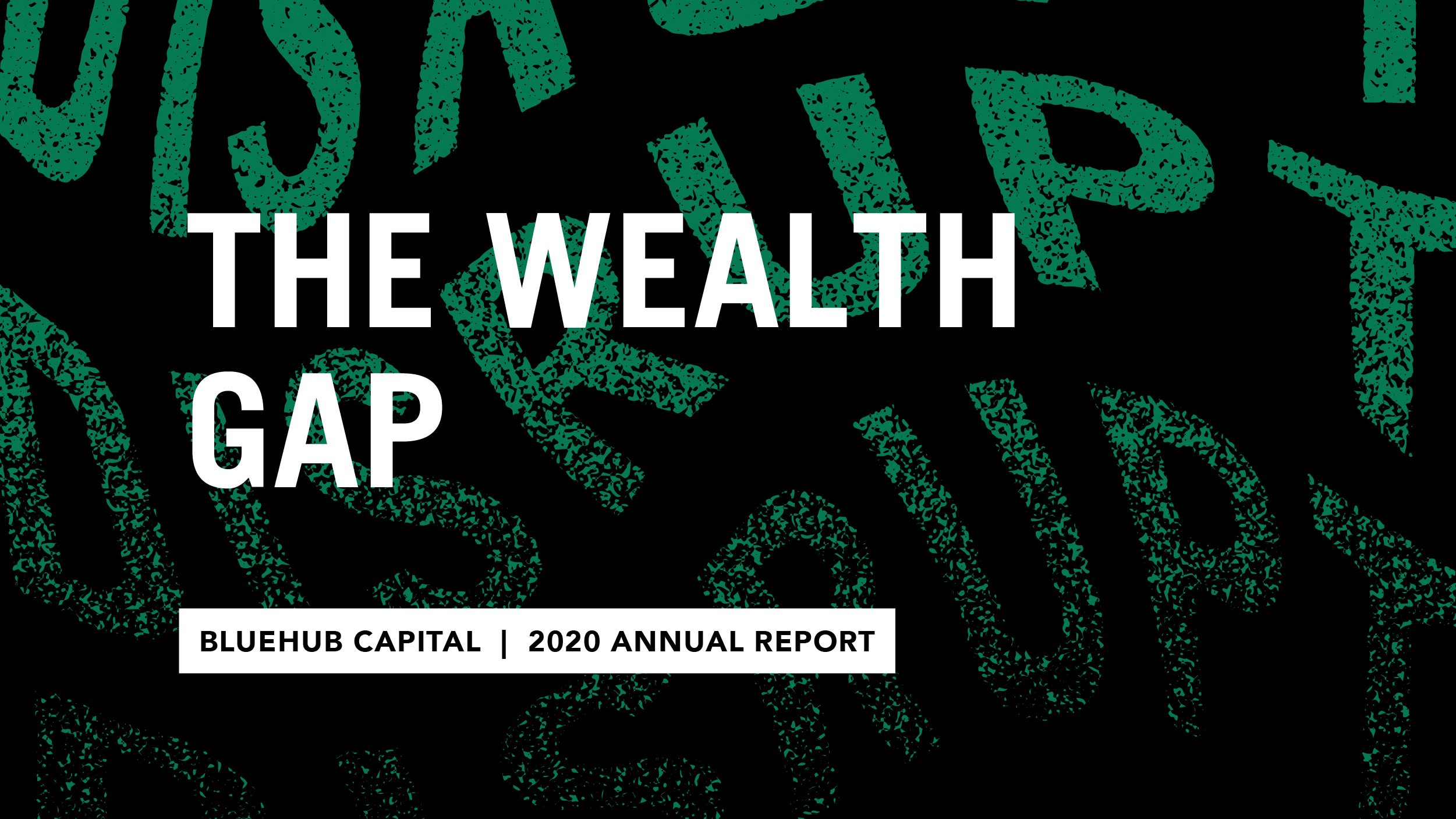 The Wealth Gap