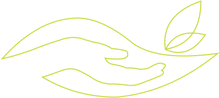 logo vazada