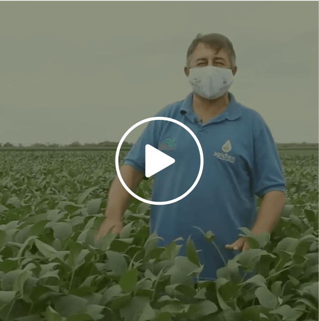 Consultor no campo falando sobre os produtos