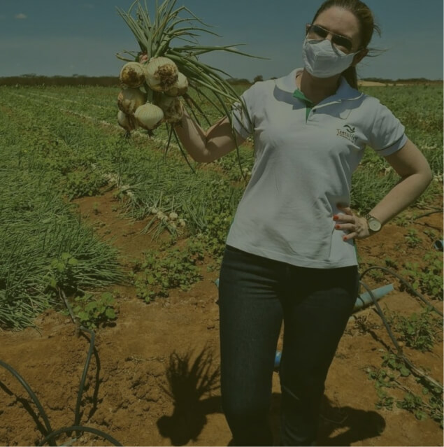 Consultora de campo mostrando cebolas colhidas