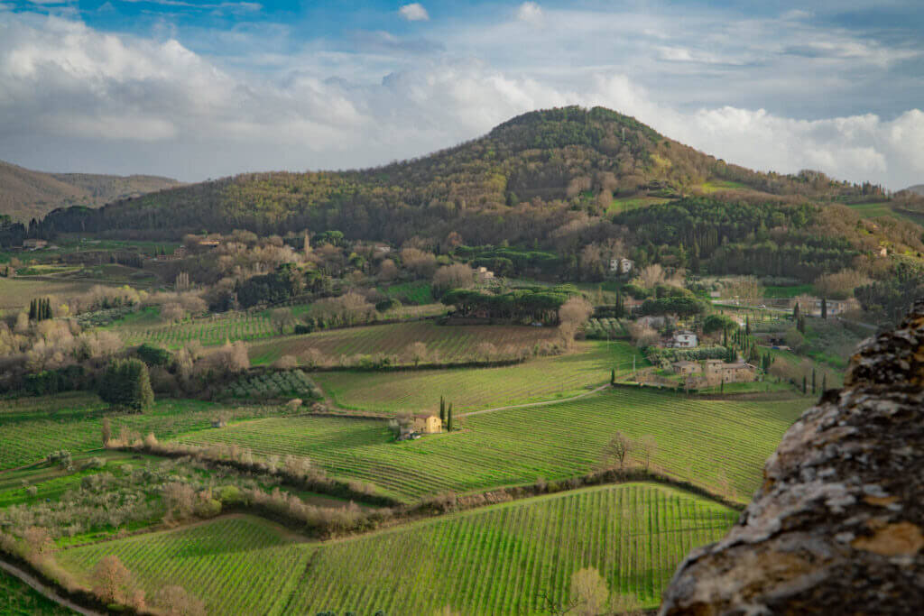 consorzio-del-vino-nobile-di-montepulciano-20-italie-2