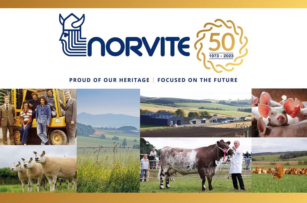News Norvite Specialists in Animal Nutrition