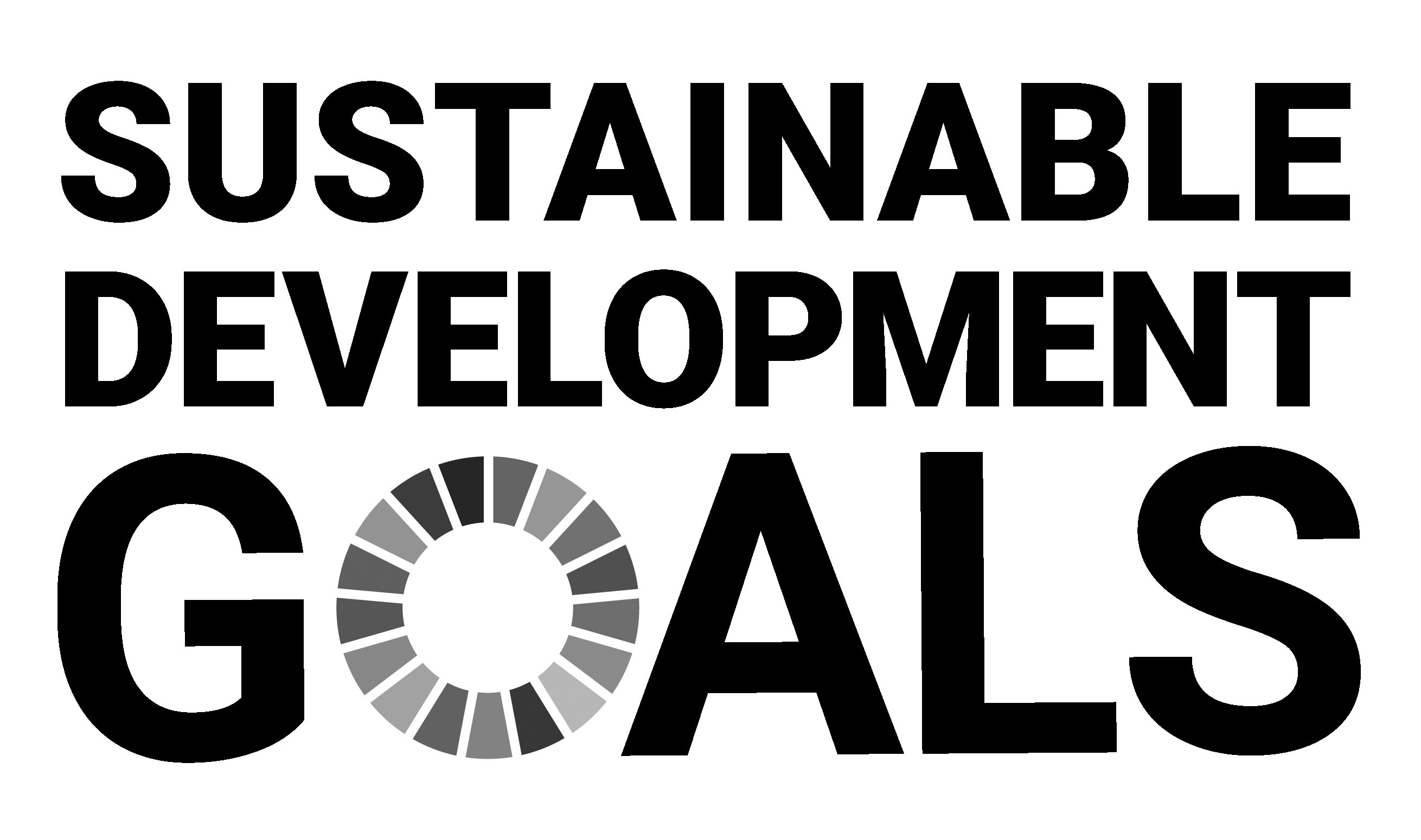SDG Logo