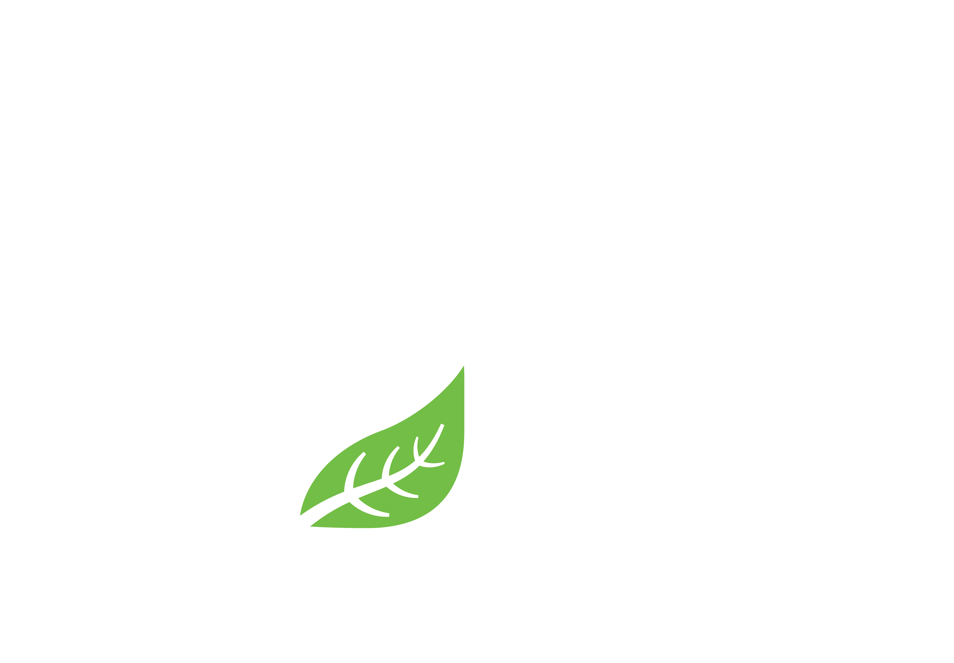 Forest EDGE Logo
