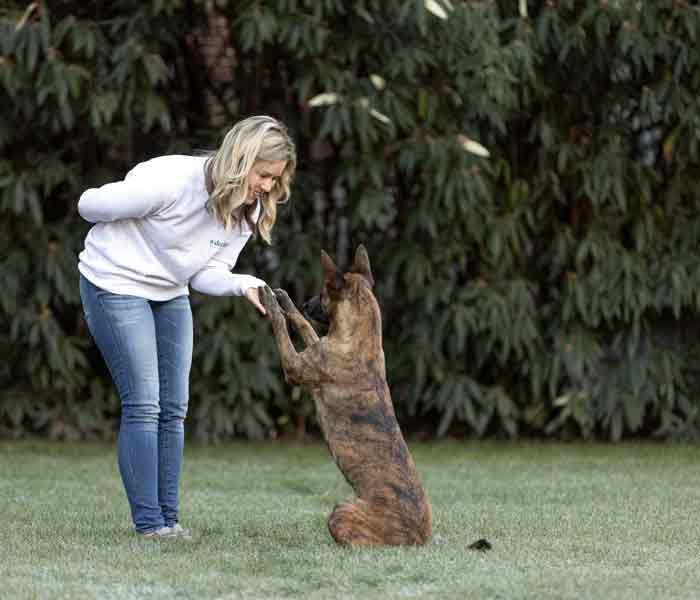 Say goodbye to stress and frustration.