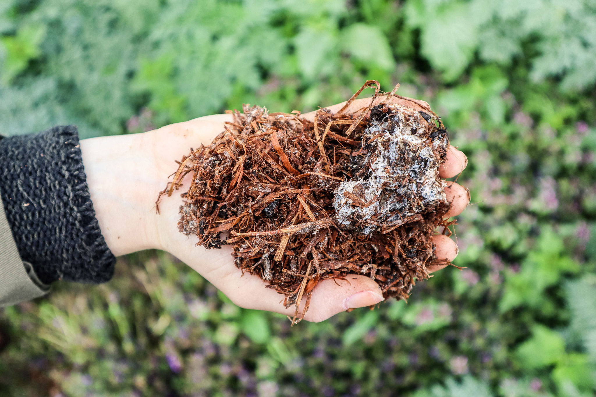 Champost — Substratwerk Garther Heide