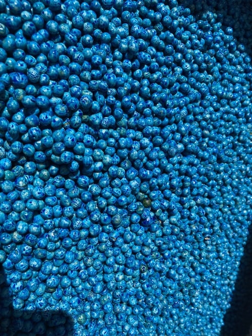 Treated Barrhead pea seed