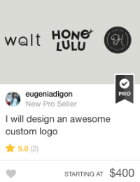 fiverr custom logo gig