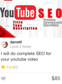 video seo Gig