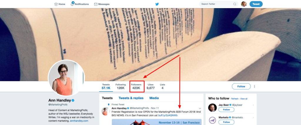 Ann Handley Twitter