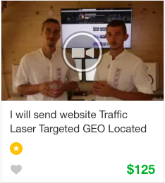 Fiverr Website Traffic Gig