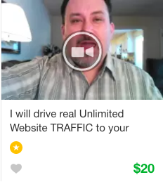 Fiverr Website Traffic Gig