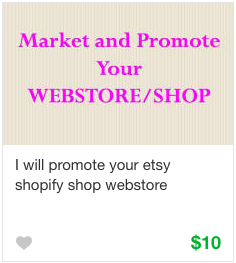 Fiverr Social Media Advertising Gig