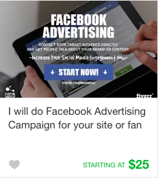 Fiverr Social Media Advertising Gig