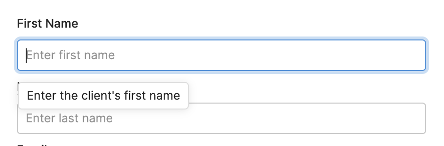data input with a text box saying 'enter the client's first name' when clicking in the box