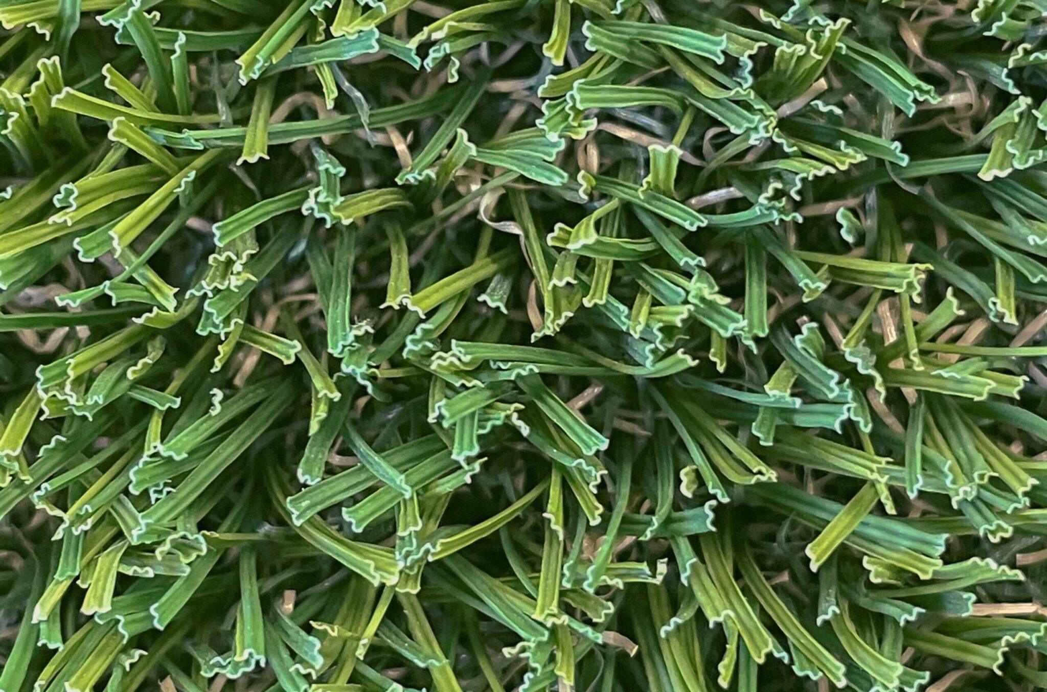 Tauro Turf Artificial Grass Perth