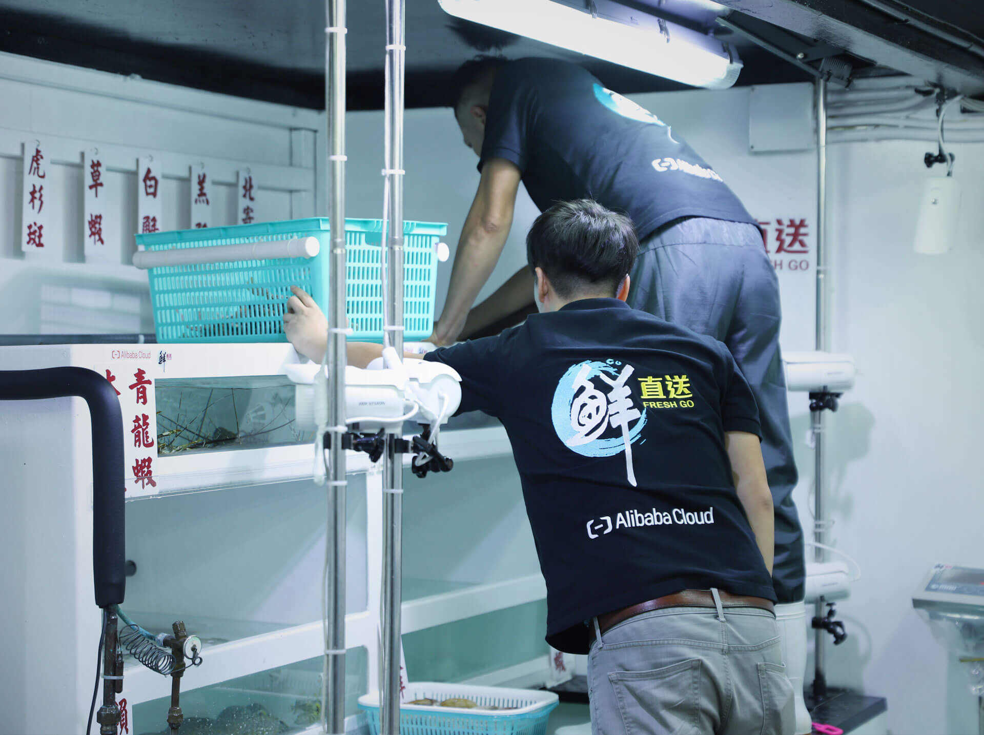 Freshgo staff with uniform working on the boat