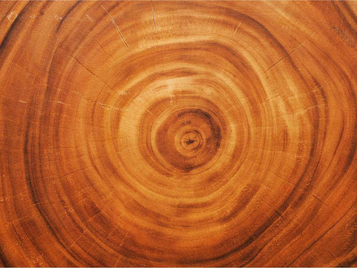 Industrial Timber - Construction and Civil Engineering Hardwood