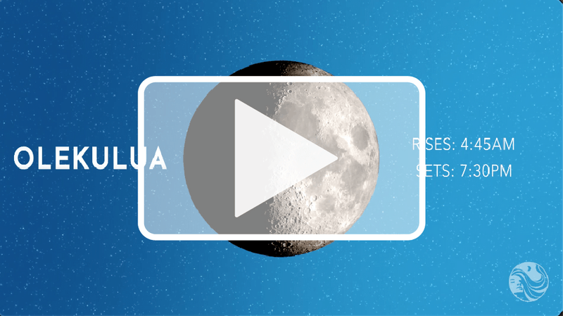 Ka Mahina Project  Understand Your Natural Rhythms