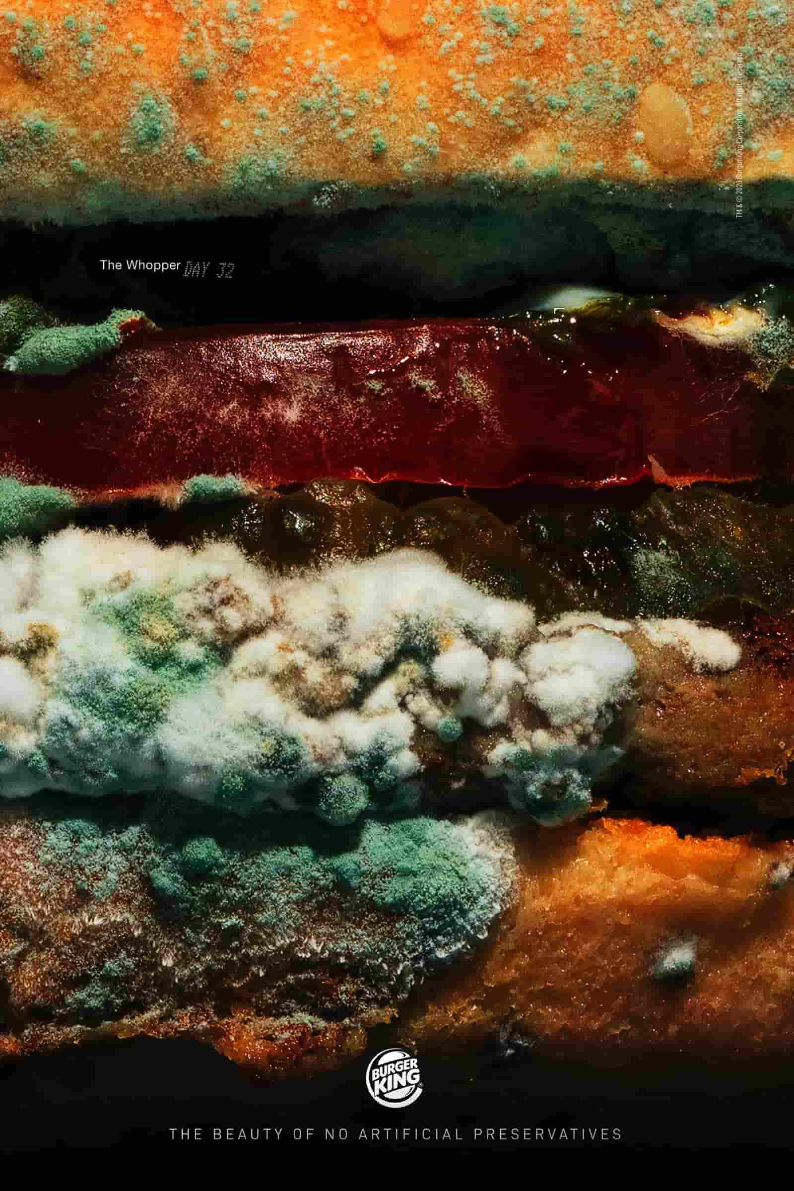 "Outdoor" Cannes Lions 2021-The Moldy Whopper Day 32-Burger King