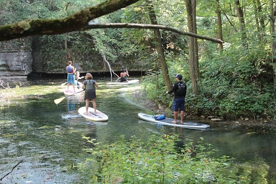 Group of people paddle boarding down stream