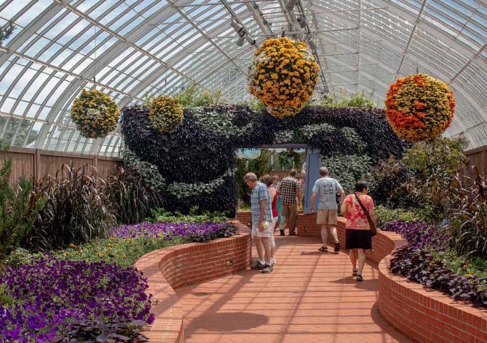Groups of people walking and viewing botanical gardens