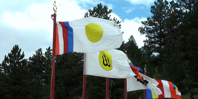 Flags blowing in wind in front of trees
