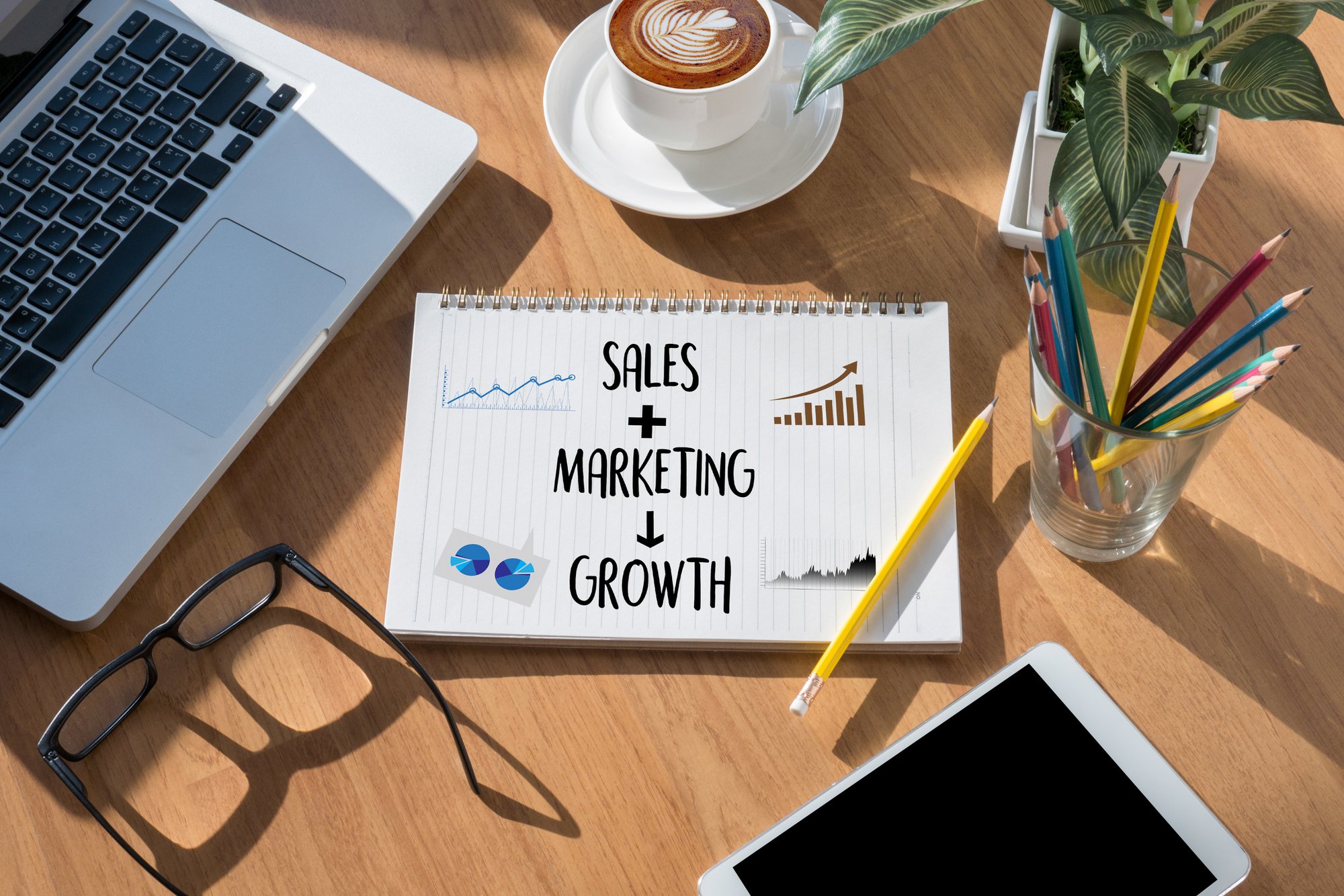 Sales and marketing alignment leads to growth.
