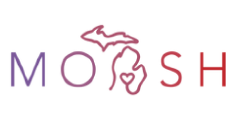 Michigan Organization for Adolescent Sexual Health