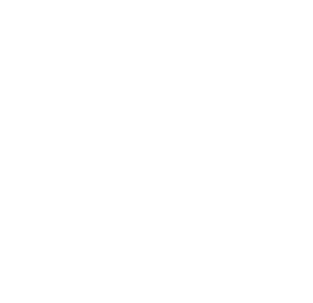 avion