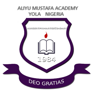 Aliyu-Mustapha-Academy-Logo1