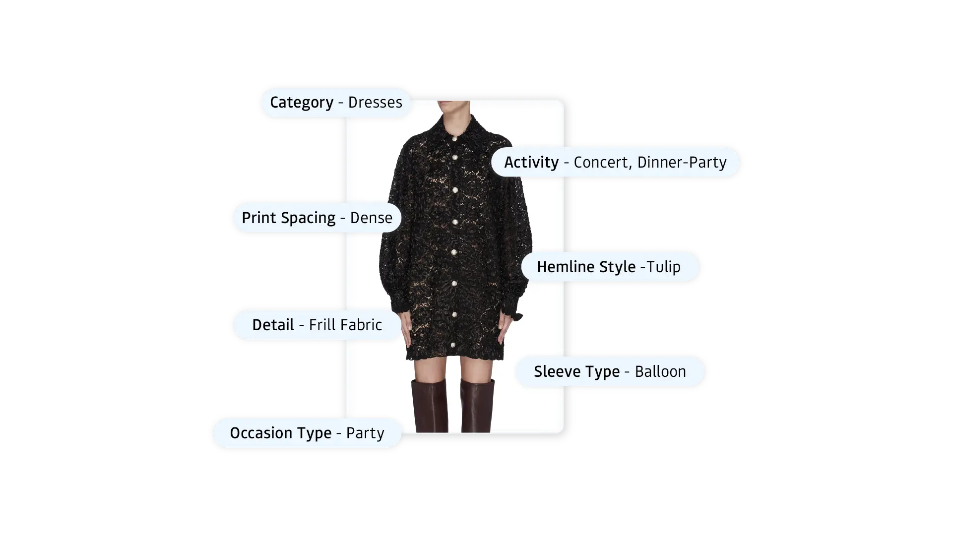 what is taxonomy?