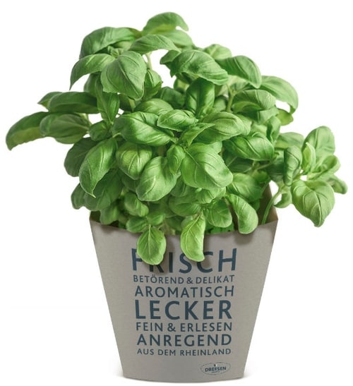 Dreesen Frische Kräuter Gmbh & Co. Kg