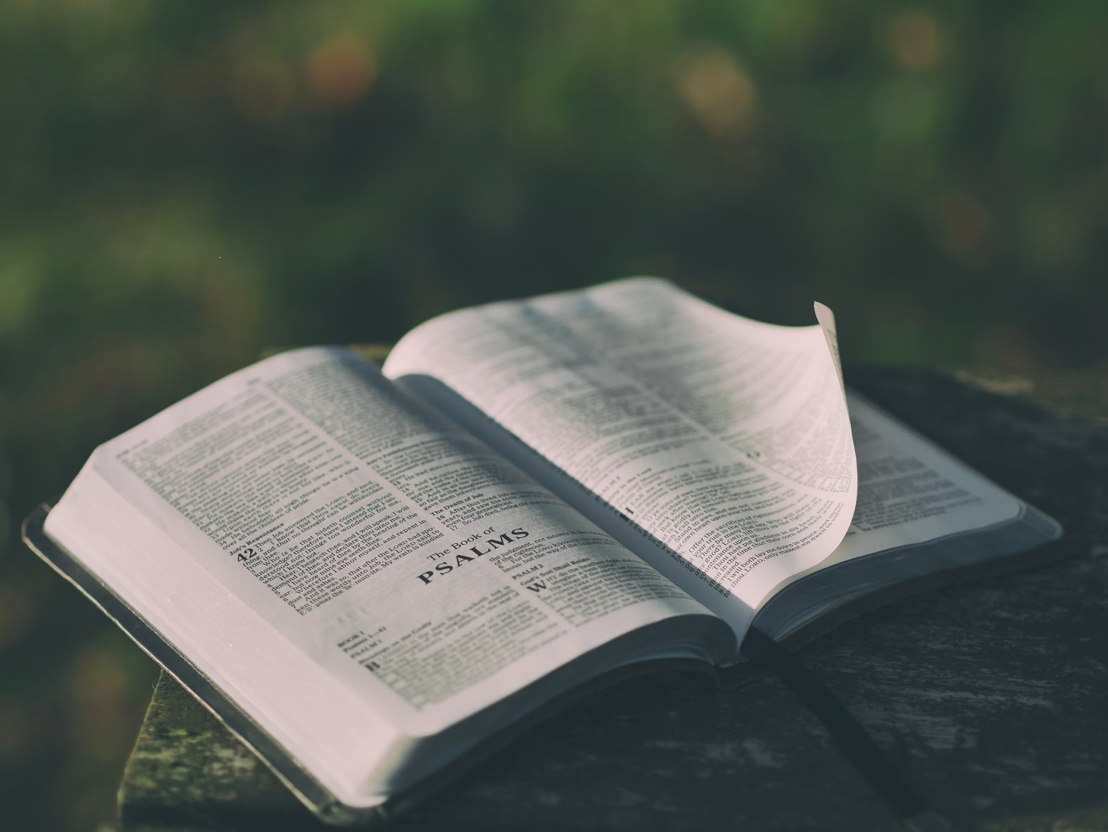 a Bible open to the book of Psalms